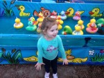 pluckaduck2