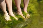 Human foot in the seaweed
