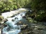 New Zealand 07 143