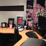 The Plumbette home office