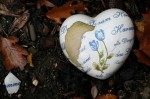 heart-480367_1280