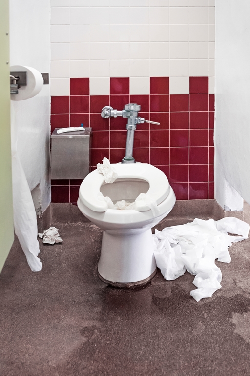 Would you use this toilet?