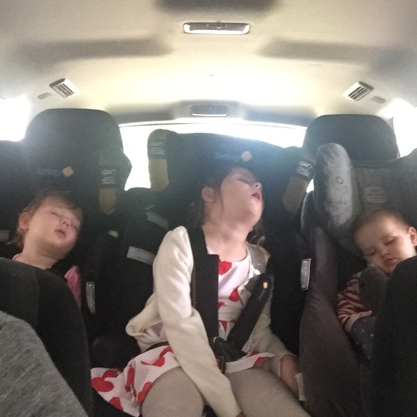 My girls are exhausted after going out on a Thursday morning. As you can see.