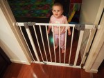 Dreambaby Gate