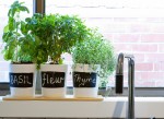6 ways to style herbs in the kitchen header