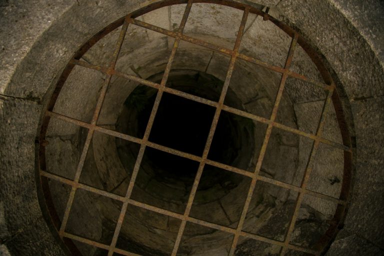 the woman who used sewers to rescue jewish children