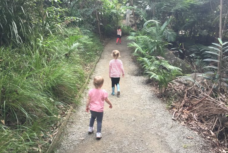 Mount Tamborine Day trip with kids