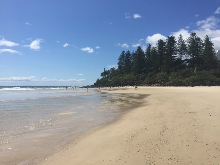 busiest month yet beach