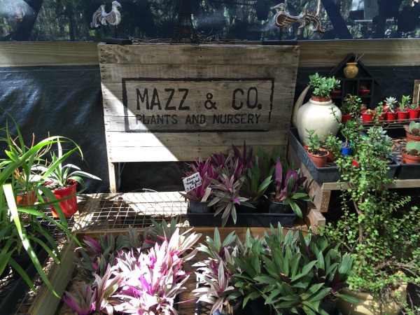 Mazz & Co nursery