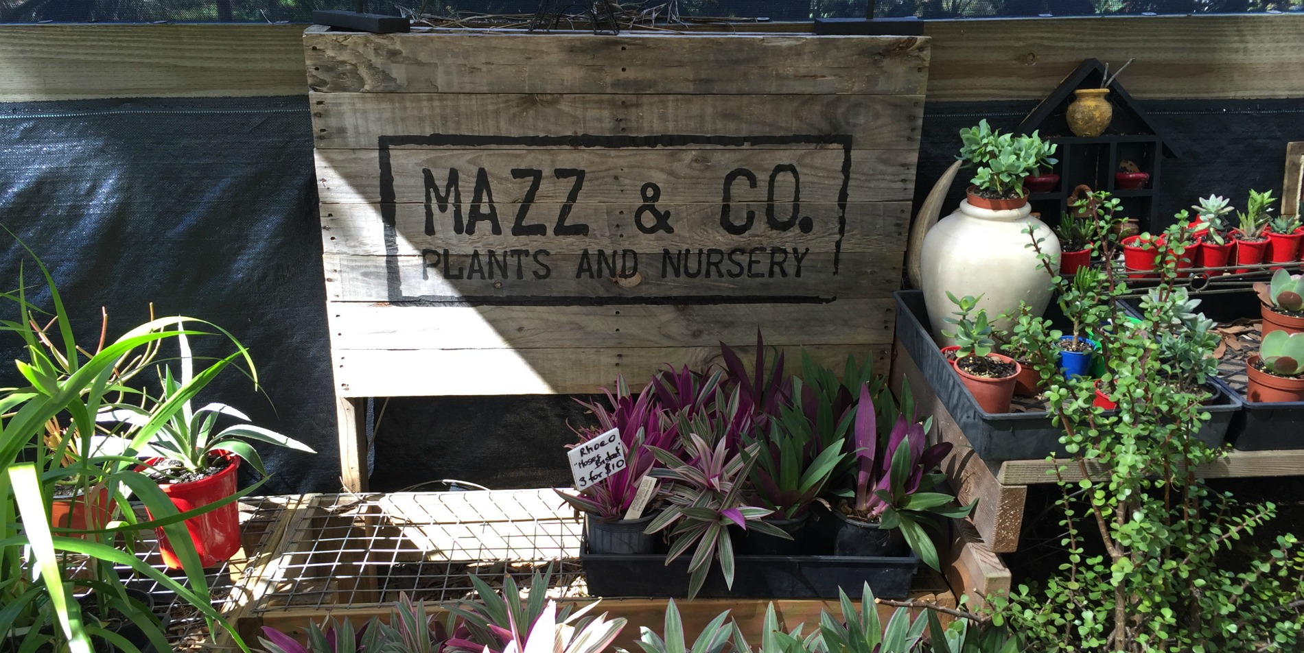 Mazz & Co nursery