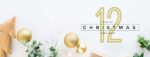 12-days-of-christmas-cookbook-facebook_cover_2-2016-12-01-09-34-19