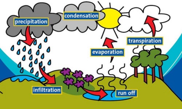 water cycle teaching children how to be water wise