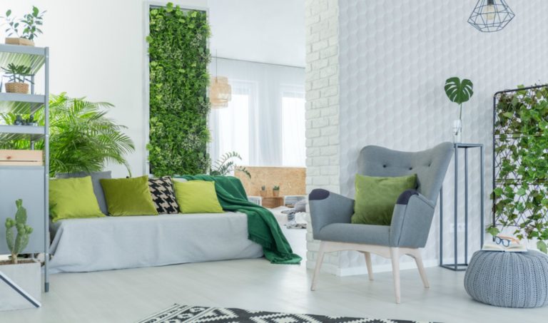 simple ways to make your home 'greener' in 2017