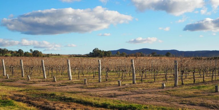 Our Kid Friendly Family Getaway to Stanthorpe