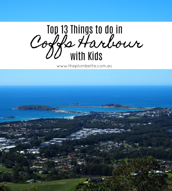 top 13 things to do in coffs harbour with kids pin