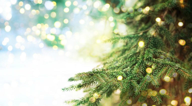have an imperfectly perfect Christmas