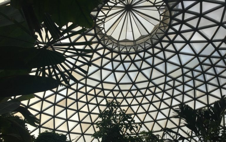 A Visit to the Brisbane Planetarium and Botanic Gardens