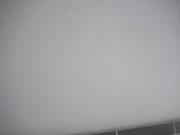 mildew on bathroom walls