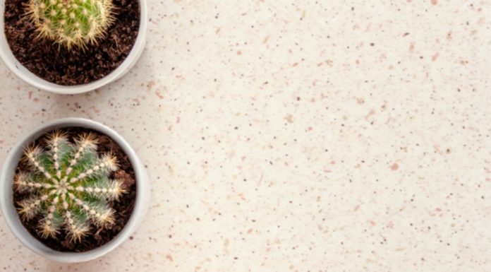 Terrazzo Homewares – The Decor Trend to Overtake Marble terrazzo homewares