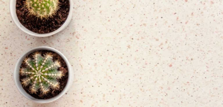 terrazzo homewares