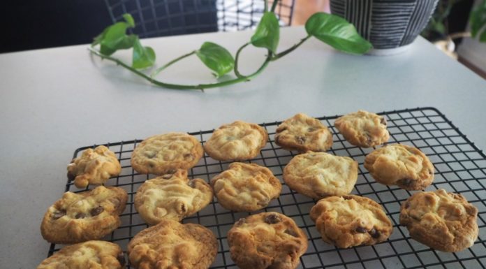 Double Choc Chip Hazelnut Cookies Double Choc Chip Hazelnut Cookies