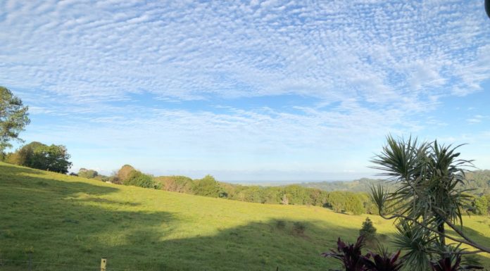 What to do and Where to Stay in Alstonville With Kids Stay in Alstonville With Kids