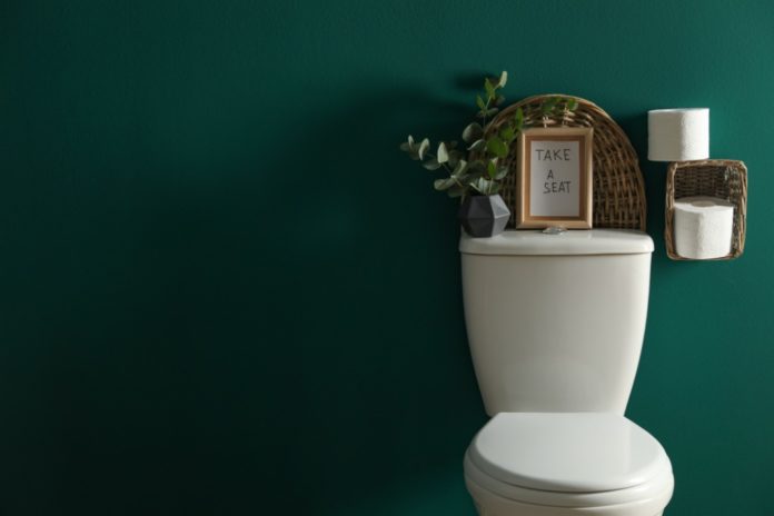 10 Ways to Make Your Toilet Smell Good Naturally
