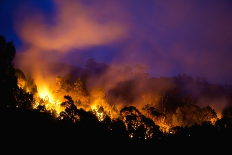 No One Asks for a Natural Disaster to Come to Their House Importance of house insurance