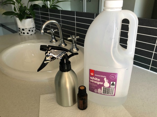 remove mildew with vinegar and clove oil