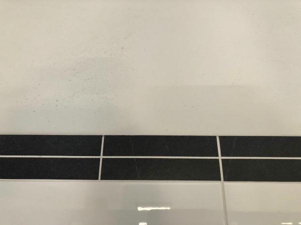 mildew spots on white bathroom plasterboard wall