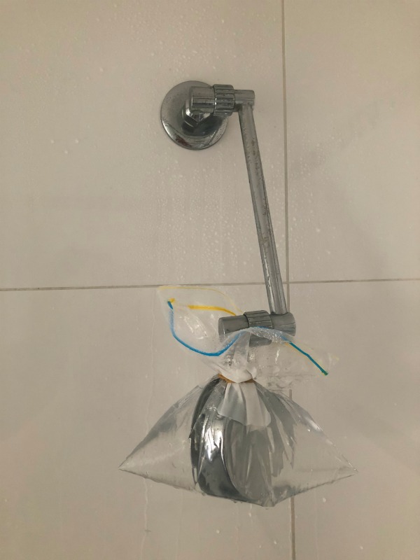 Blocked shower head in vinegar The Plumbette