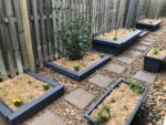 5 Tips for Setting Up A Home Vegetable Garden