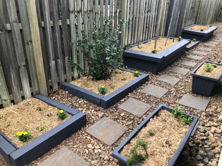 5 Tips for Setting up a Home Vegetable Garden