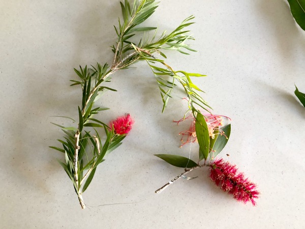 bottle brush flower for australian native floral wreath