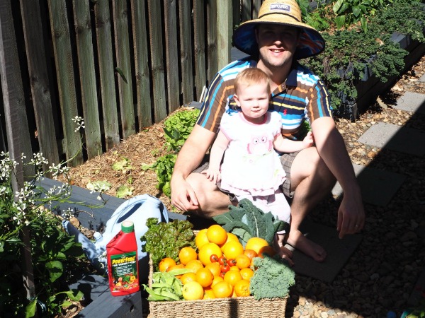 5 tips setting up a home vegetable garden
