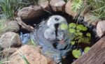 Upcycle a Bath Base into a Garden Water Feature