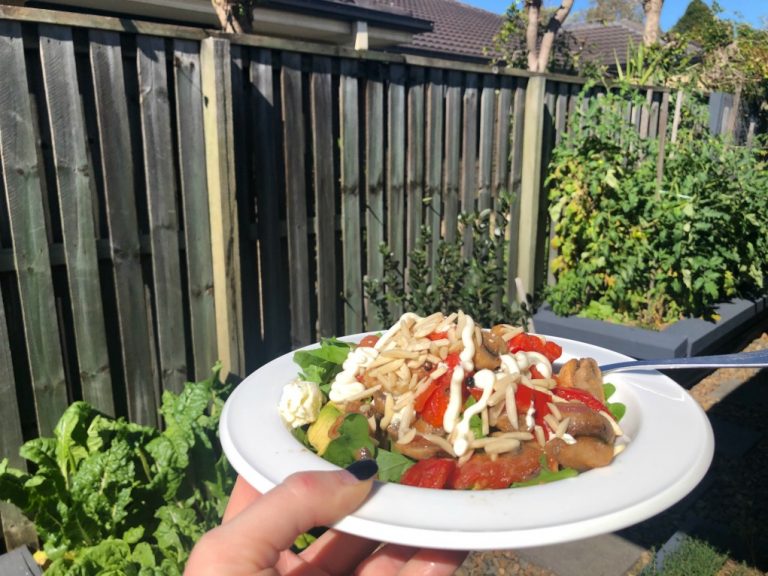 Meals Using Vegetable Garden Produce