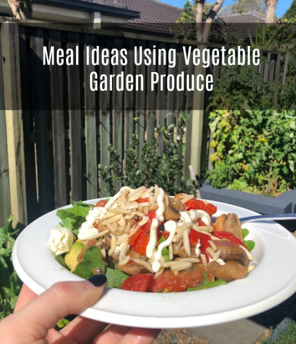 meal ideas using vegetable produce