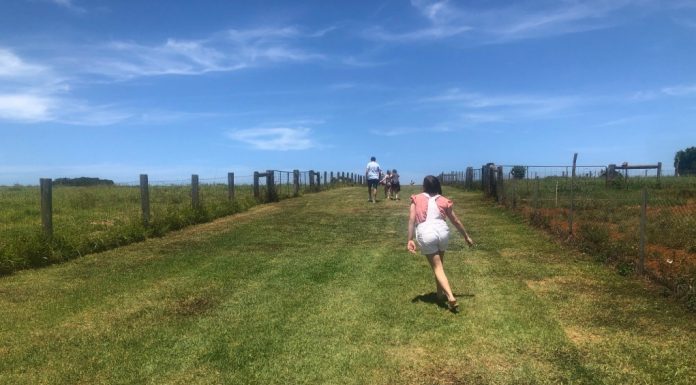 Our Mini Escape to Northern NSW Our Escape to North NSW