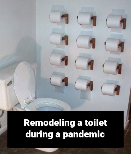 remodeling a toilet for a pandemic