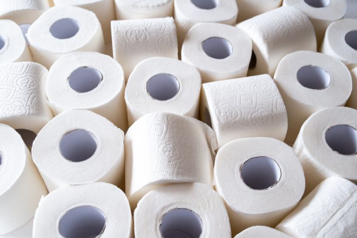 the best toilet paper memes of 2020