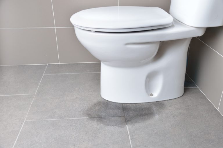 The 3 Most Common Causes for a Leaking Toilet