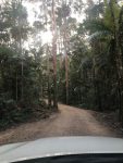 Driving into Crystal Creek