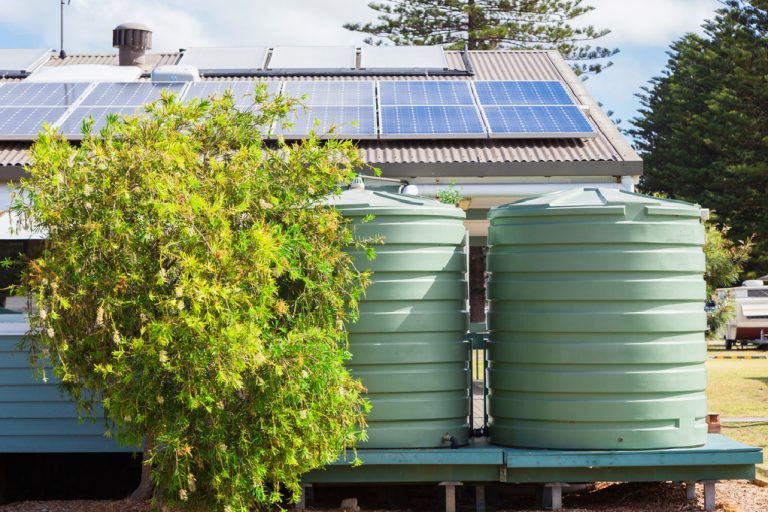 Rainwater tank maintenance and treatment tips you need to know
