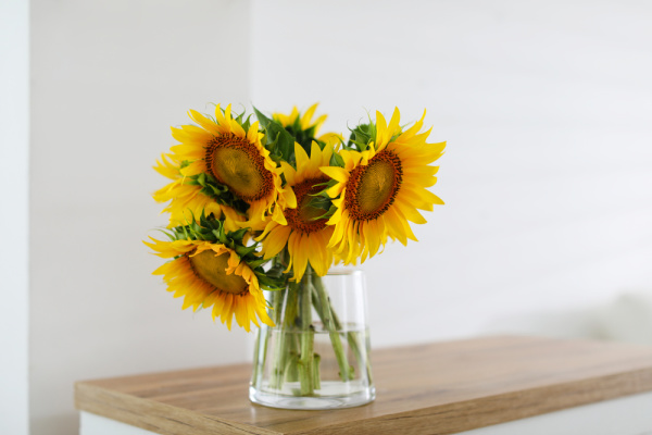 sunflowers displayed in a vase at home