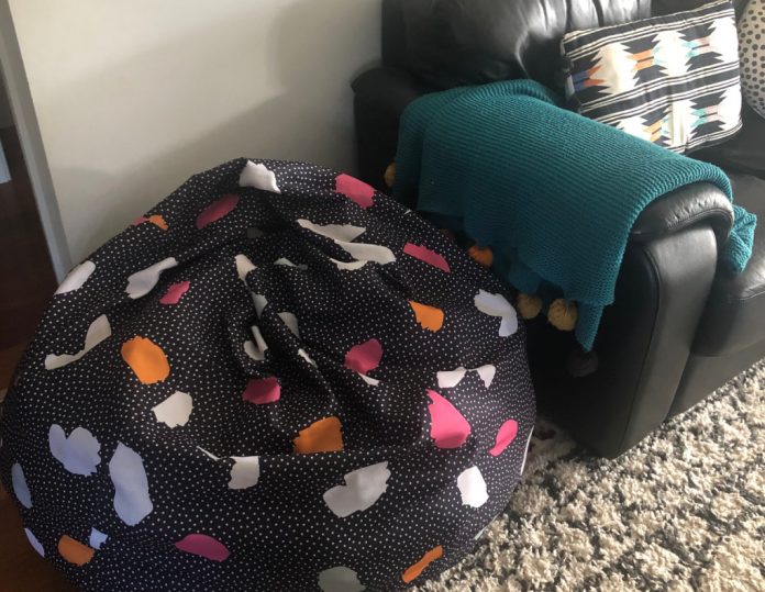 store stuffed toys in a beanbag