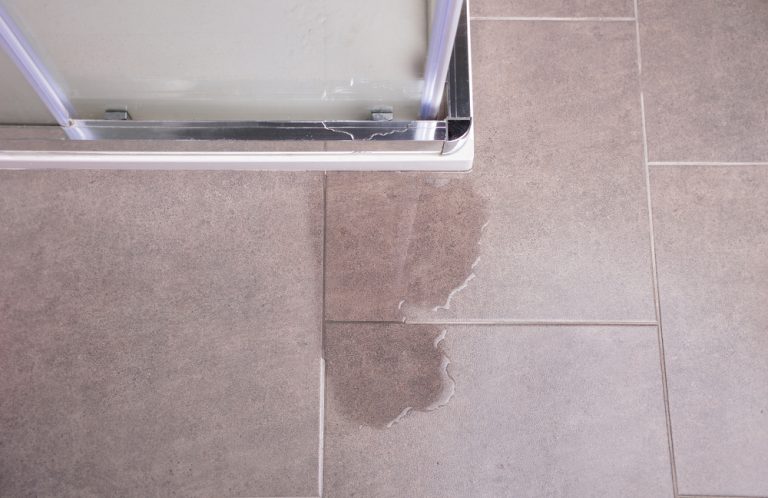 What causes leaking showers