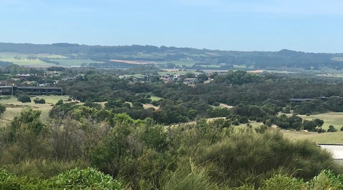 Septic to Sewer Connections: What Homeowners Need to Know septic to sewer connection landscape of Mornington Peninsula where sewer connections are available